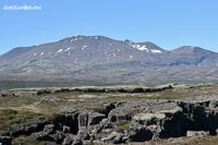 #lichtderweltfoto #island #goldenerringisland #thingvellir #berge #vulkane #lavafelder #lava