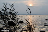 #lichtderweltfoto #ostsee #k&uuml;ste #insel #sonnenuntergang #poel #inselpoel #ostseek&uuml;ste