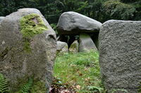 #lichtderweltfoto #d&auml;nemark #lolland #frejlevskov #megalithgrab #dolmen #runddolmen #steinzeit