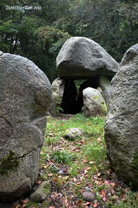#lichtderweltfoto #d&auml;nemark #lolland #frejlevskov #megalithgrab #runddolmen #dolmen #steinzeit
