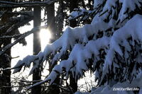 #lichtderweltfoto #heimat #th&uuml;ringen #saaleholzland #wald #winter #schnee #winterwald