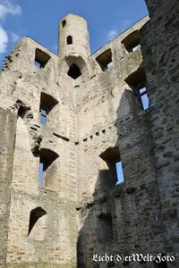 Hoher Schwarm Saalfeld - Th&uuml;ringen