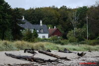 #lichtderweltfoto #d&auml;nemark #falster #insel #hesnaes #k&uuml;ste #ostsee #strand #maritim