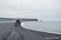 #lichtderweltfoto #island #dyrholaey #reynir #reynisdrangar #k&uuml;ste #strand #meer