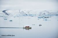 #lichtderweltfoto #island #gletscher #gletschersee #nordland #j&ouml;kulsarlon #eis #see #skandinavien