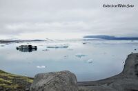 #lichtderweltfoto #island #gletscher #gletschersee #j&ouml;kulsarlon #eis #see #nordland #skandinavien