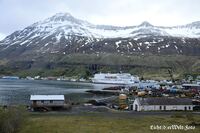 #lichtderweltfoto #island #ostisland #seydisfj&ouml;rdur #norr&ouml;na #smyrilline #f&auml;hre #hafen #maritim