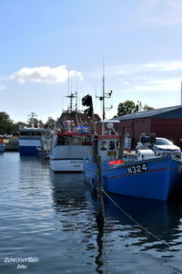 #lichtderweltfoto #d&auml;nemark #lolland #lang&ouml; #maritim #hafenlang&ouml; #hafen #kutter #ostsee #schiffe