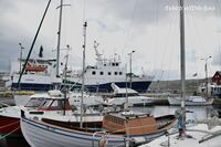 #lichtderweltfoto #maritim #torshavn #f&auml;r&ouml;er #f&auml;r&ouml;erinseln #torshavnhafen #schiffe #kutter