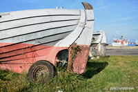 #lichtderweltfoto #d&auml;nemark #lolland #lang&ouml; #hafen #maritim #kutter #ostsee #insel