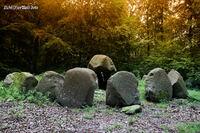 #lichtderweltfoto #d&auml;nemark #lolland #frejlevskov #megalithgrab #dolmen #runddolmen #steinzeit