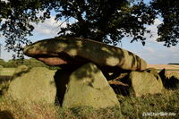 #lichtderweltfoto #sachsenanhalt #megalithgrab #dolmen #goliathgrabst&ouml;ckheim #steinzeit #dysse