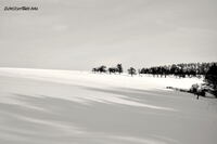 #lichtderweltfoto #schwarzweiss #heimat #winter #reichenbachholzland #schnee #reichenbach