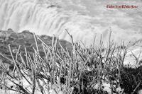 #lichtderweltfoto #schwarzweiss #island #dettifoss #wasserfall #nordland #wikinger
