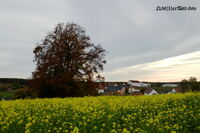 #lichtderweltfoto #heimat #th&uuml;ringen #ackersenf #reichenbachholzland #saaleholzlandkreis